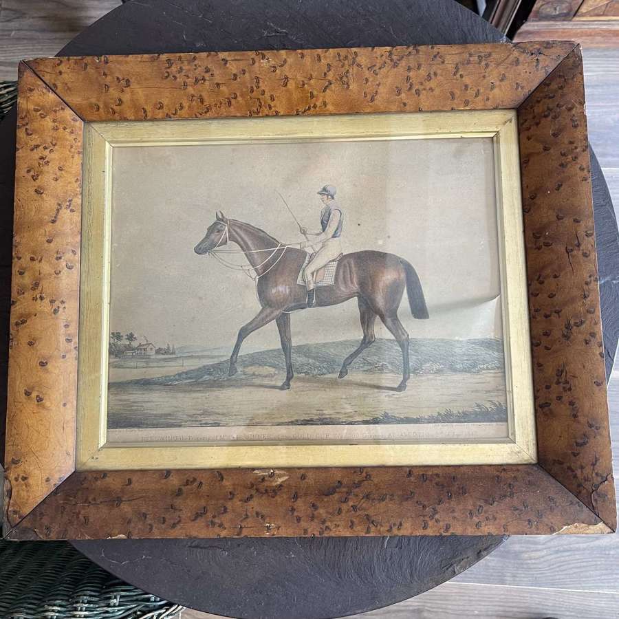 19th century, framed coloured print of "Beeswing"