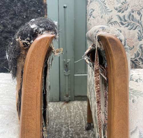 A pair of late 19th century armchairs