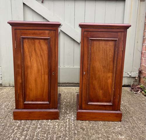 A pair of 19th century bedside cupboards