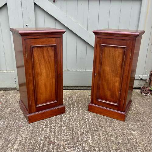 A pair of 19th century bedside cupboards