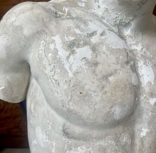 A 19th century plaster cast of the Capitoline Antinous