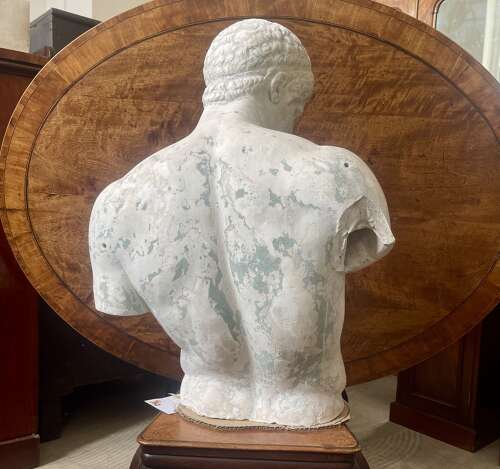 A 19th century plaster cast of the Capitoline Antinous