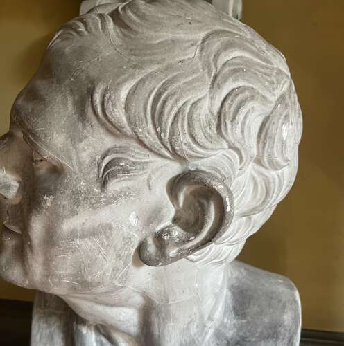 Large 19th century plaster library bust