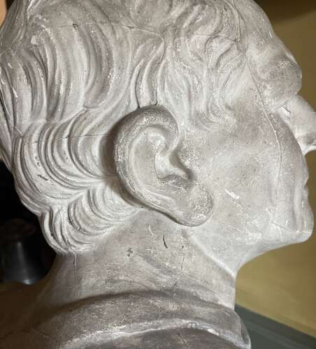 Large 19th century plaster library bust
