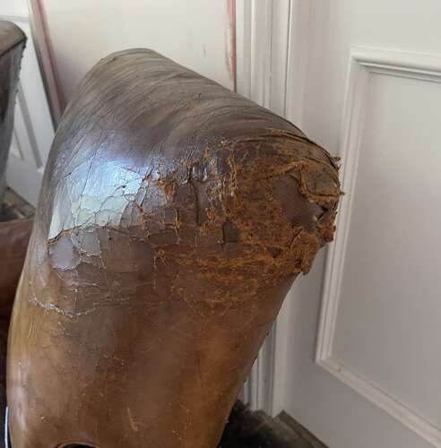 A pair of Edwardian leather club chairs